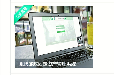 重庆邮政固定资产管理系统